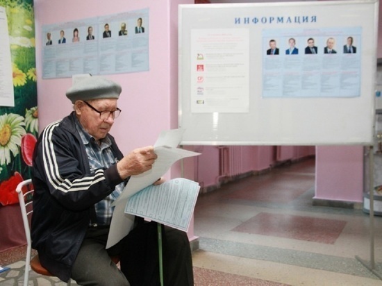 Алтайские эксперты заявили о незрелости некоторых категорий избирателей на выборах 2021 года