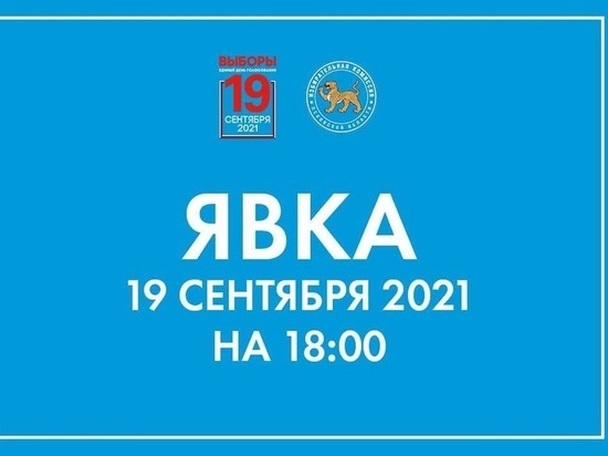 Явка по выборам депутатов Псковского областного Собрания составила 40,92%