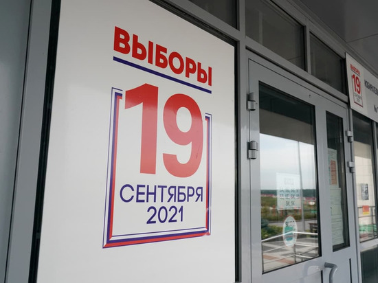 Опубликованы первые результаты выборов в горсовет Кемерова