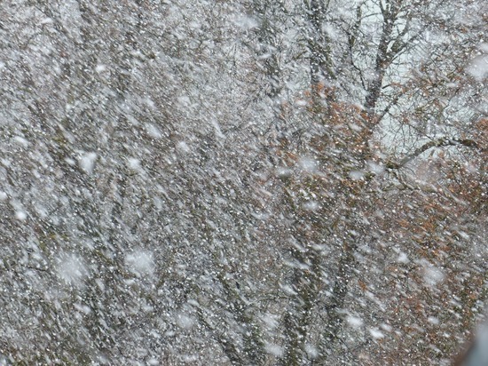 Сильный дождь со снегом ожидается на Колыме