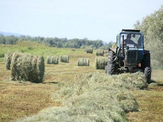 В Якутии пять районов выполнили план по заготовке сена