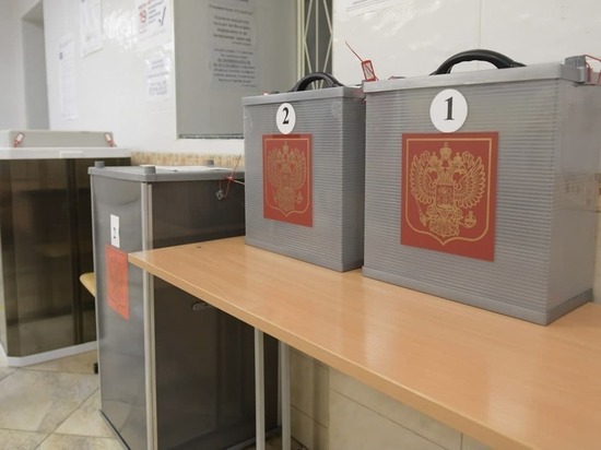 Опубликованы предварительные итоги выборов в Курганской области