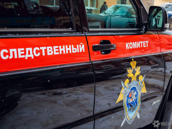 Следователи заинтересовались нападением чипированной собаки на ребенка в Киселевске