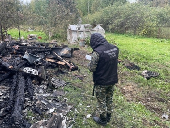 Два человека погибли в пожаре в Тверской области