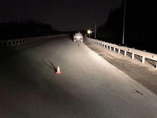 В Челябинской области на трассе автомобилист насмерть сбил пешехода и скрылся