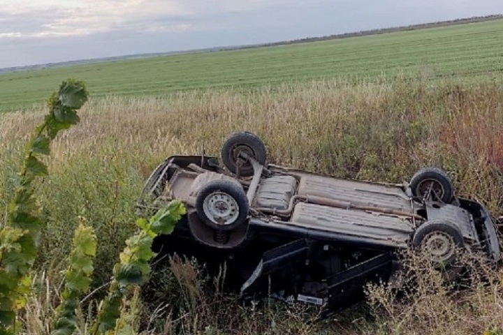 Еланский водитель Волгоградская область.