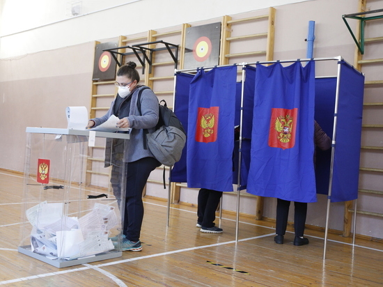 Горизбирком Петербурга попросил еще немного подождать результатов выборов