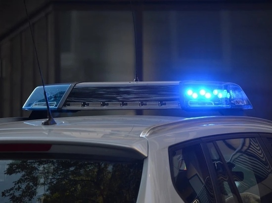 34-летний пьяный автомобилист попался дорожной полиции в Великих Луках