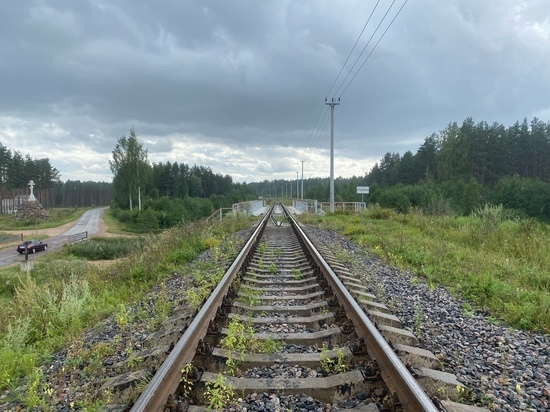 Злостный дебошир из поезда получил мягкий приговор в Тверской области