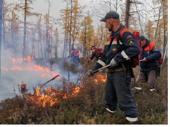 В Якутии за сутки потушили восемь лесных пожаров