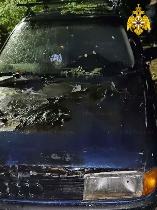 Загоревшуюся иномарку в Гагарине тушили соседи и пожарные