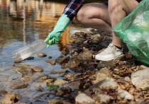 В Минприроды ЛНР сообщили о проведении экологической акции "Очистим Республику от мусора"