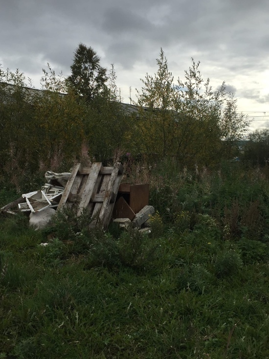 На чердаке нашего дома