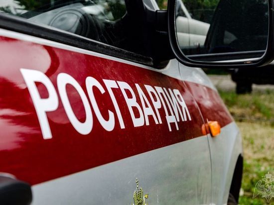 В Нижнем Новгороде росгвардейцы задержали уличных грабителей