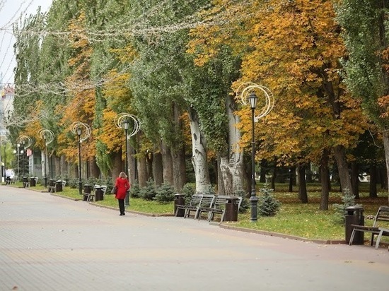 В Волгограде в середине недели ожидается пасмурная погода с дождем