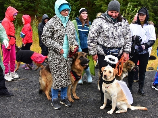 В Ханты-Мансийске открыли первую площадку для собак