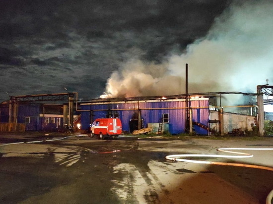 29 огнеборцев сегодня ночью тушили пилораму в Йошкар-Оле