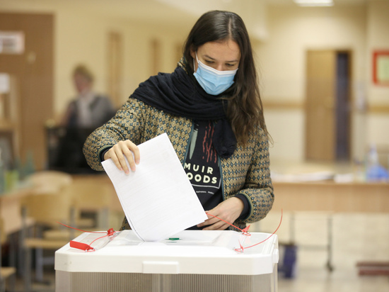 Общественный штаб предложил экспертам убедиться в прозрачности московских выборов