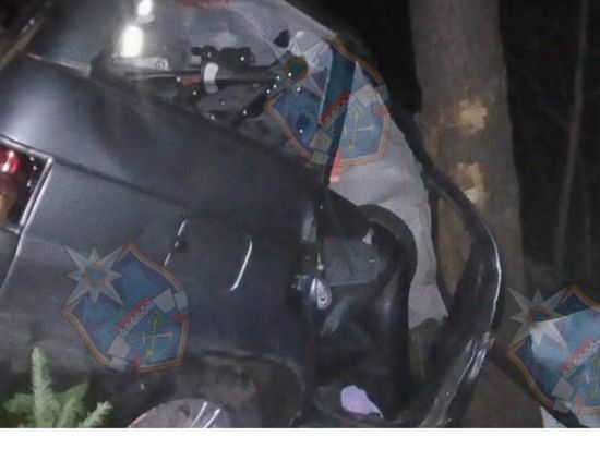 В Ленобласти водитель врезался в дерево и погиб