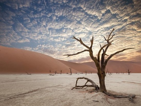 Прелесть катастрофы. Какие блага несет глобальное потепление Казахстану