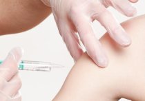 В России начали проводить вакциннные туры за границу