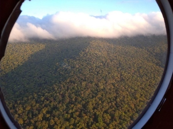 Поисковики в месте исчезновения самолета под Хабаровском нашли медведей