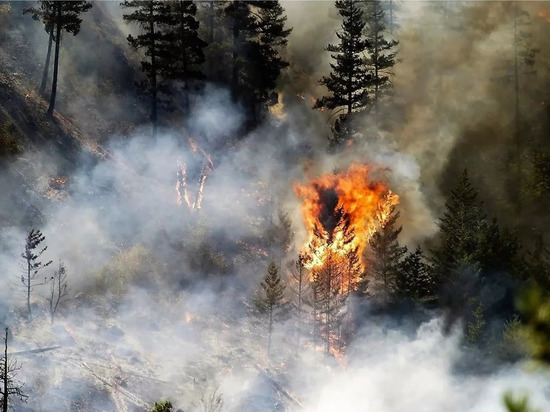 В Якутии за сутки потушено два лесных пожара