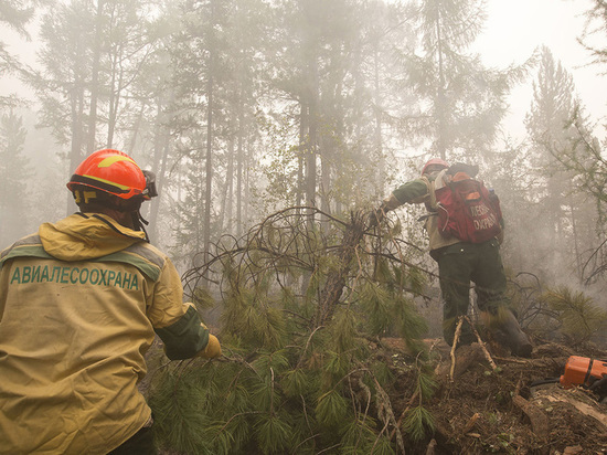 Технику для лесных пожарных закупили на 257 млн р за два года в Забайкалье