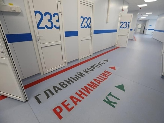 На Южном Урале за сутки от ковида погибли 20 пациентов