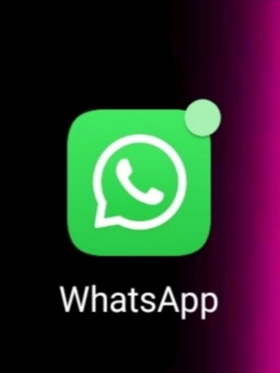 Новые возможности WhatsApp: теперь в чатах можно жаловаться