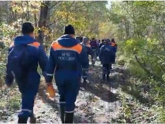 Появилось видео из леса по пути к месту крушения самолета Ан-26 под Хабаровском