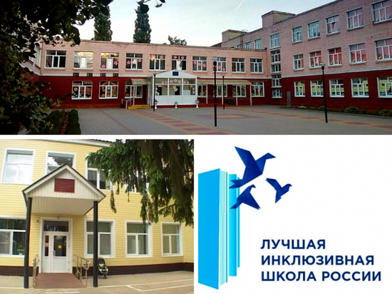 Лучшую инклюзивную школу и детский сад выбрали в Тамбовской области