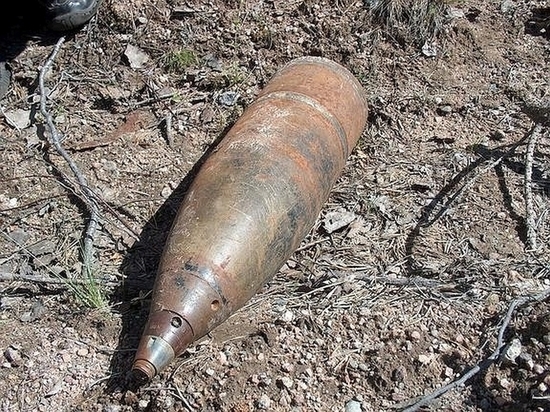 Смоленские саперы обезвредили 41 боеприпас времен войны в деревне Патрихово