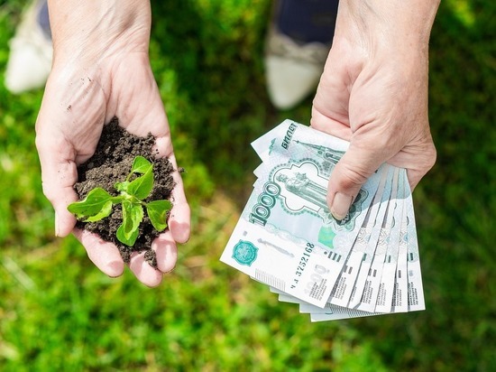В 2022 году на поддержку малого бизнеса в агросекторе Башкирии направят 860 млн рублей