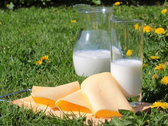Эксперты разошлись во мнениях насчет пользы и вреда молочных продуктов