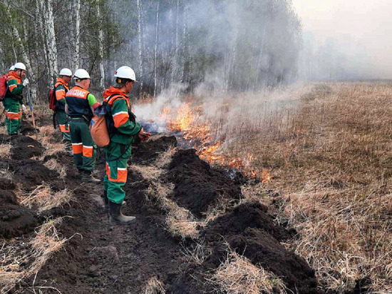Впервые в истории все лесные пожары потушили в первые сутки: итоги пожароопасного сезона подвели на Ямале