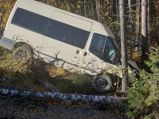   В Карелии водитель уснул за рулем и вылетел в кювет