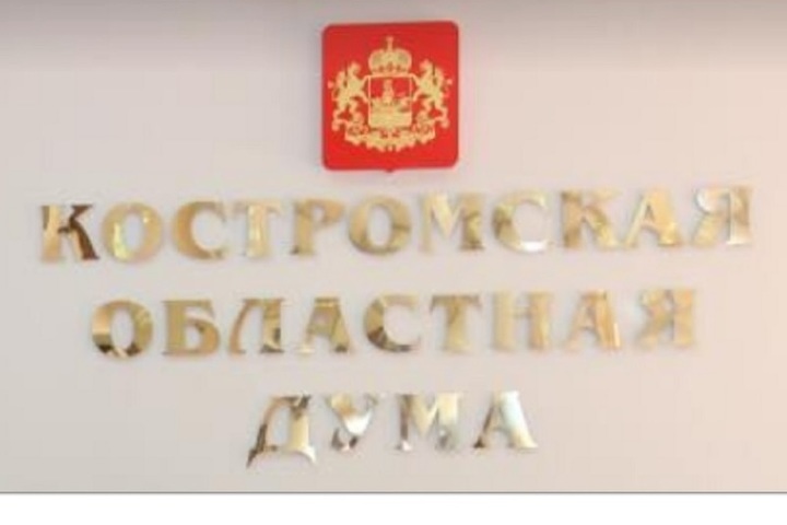 Депутаты областной Думы призвали Владимира Михайлова достойно принять поражение
