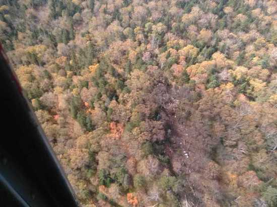 За минувшие сутки поисковики смогли обнаружить место катастрофы с воздуха и добраться до него через лес