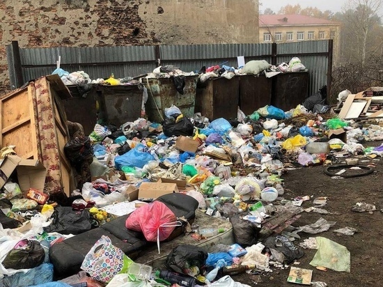 Жители читинского поселка пожаловались на неубранные кучи мусора