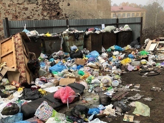 Горы отходов в Атамановке образовались из-за поломки одного из двух мусоровозов