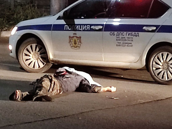 На улице Новой в Рязани насмерть сбили 71-летнего мужчину
