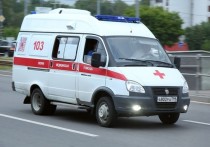 В России зафиксировали рекордную смертность от коронавируса
