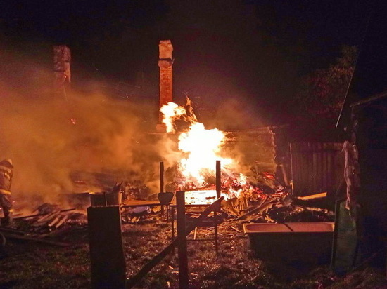 Хлопок, вспыхнувшая микроволновка и горящий дом: смоляне за несколько минут лишились крова и чуть не потеряли собаку