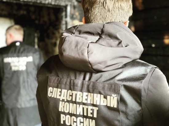 Найденное на пепелище в новгородской деревне обугленное тело отправили на экспертизу