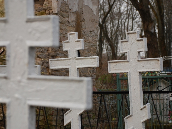 Нарушения содержания 5 кладбищ выявил Роспотребнадзор под Куньей