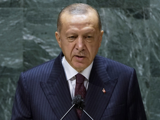 У президента Турции «зудит» Сирия
