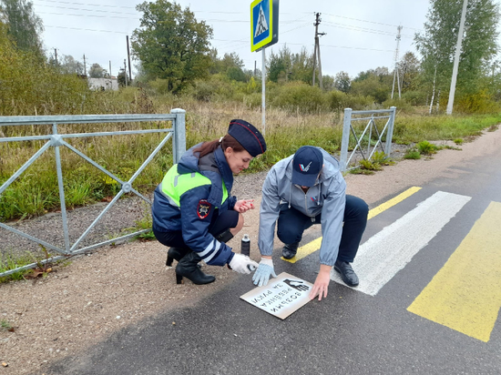 «Говорящие зебры» украсили новгородские дороги