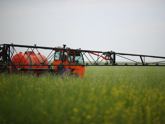 В Волгоградской области собрали более 3,8 млн тонн зерновых