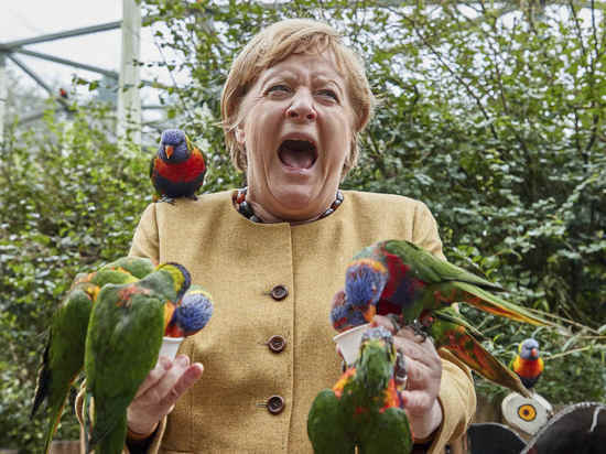 Ангелу Меркель атаковал агрессивный попугай